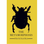 The-MetaMorphosis-buy-in-nepal