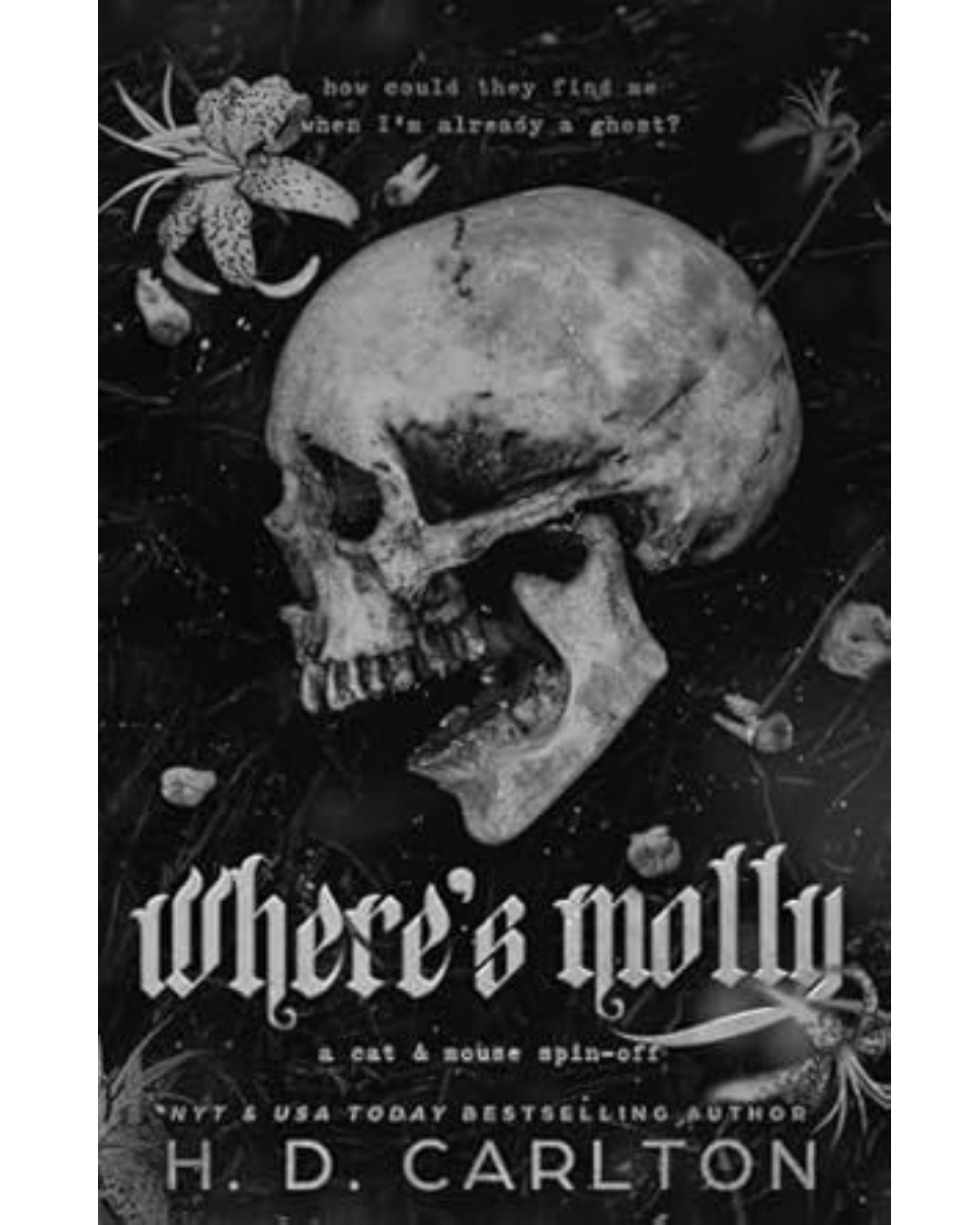 Where’s-Molly-?- Book-Review-:-  Heartbreaking,-Hopeful-Quest-for- Truth-and-Family