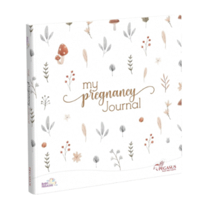 My-Pregnancy-Record- Book